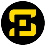 Potential Security logo