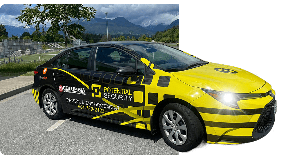 Potential Security — photo 2
