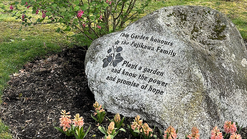 Fujikawa Garden, activity in Silverhill, Mission BC