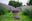 Tuscan Farm Gardens logo